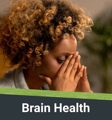 Visual representation of Brain Health Conditions