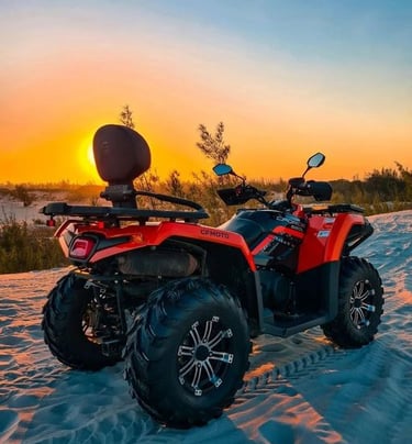 PASSEIO DE QUADRICÍCULO