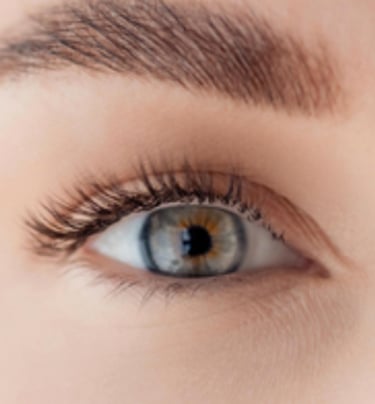 Wimpern