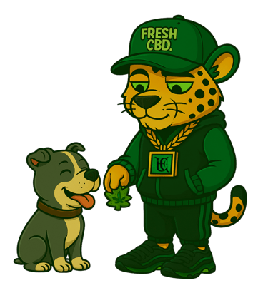 Leopardo Fresh CBD sentado en sofá fumando frente al televisor