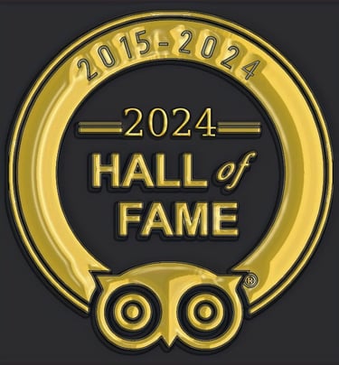 a gold medal medal for the hall of fame hall of fame