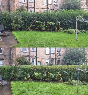 grass cutting masterton