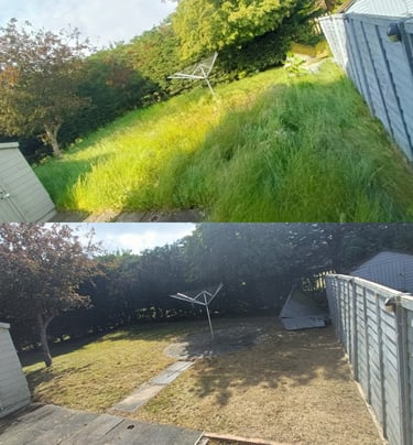 lawn care masterton