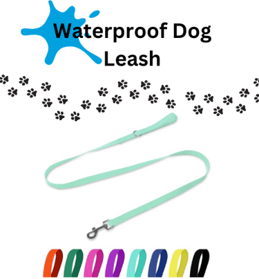 dog leash