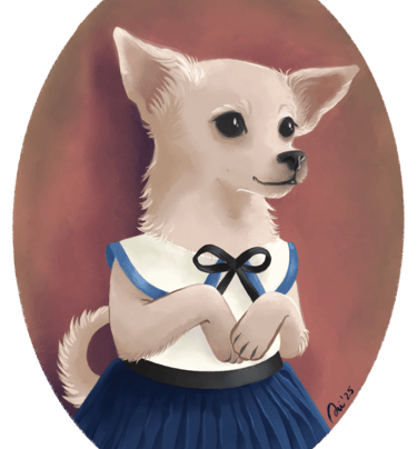 perrita chichuahua beige con uniforme escolar azul y blanco