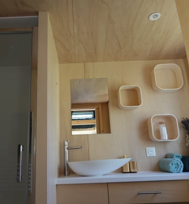 Tiny House bathroom