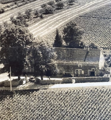 maison Chevrot