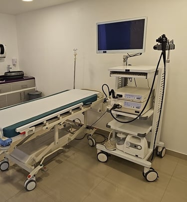 ENDOSCOPIA