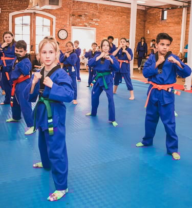 New Age Martial Arts - Madalena do Pico