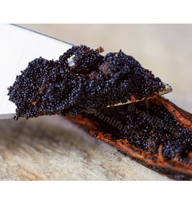 Vanilla caviar
