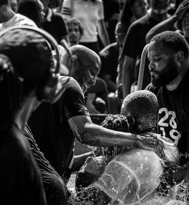 risen and renewed