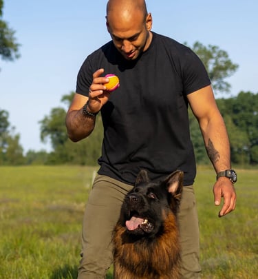 DiabK9 trainiert mit seinem Schäferhund im Park