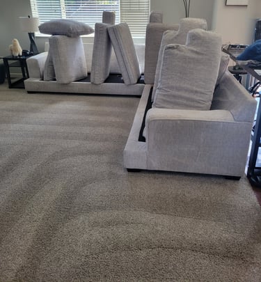 King Organic Clean, Finished results of Couch and Carpet
