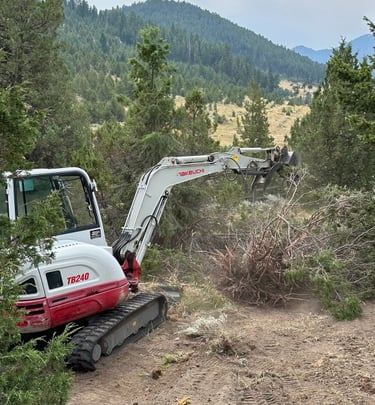 land clearing