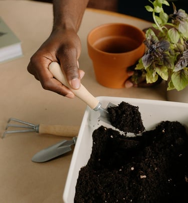 Soil being scooped from a container