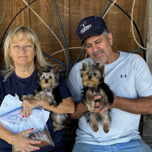 Cachorro rescatada encontrando un hogar