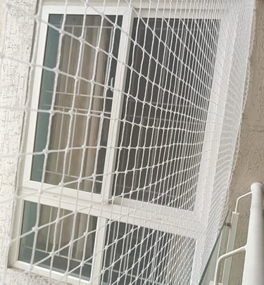 Technician from Arjilli Enterprises carefully fitting a pigeon net around a window frame, tools in h