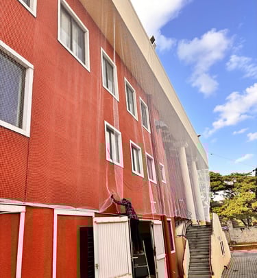 Completed pigeon net installation blending seamlessly with the building’s exterior