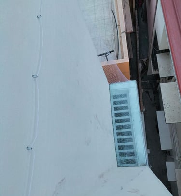 Technician from Arjilli Enterprises carefully fitting a pigeon net frame on a window