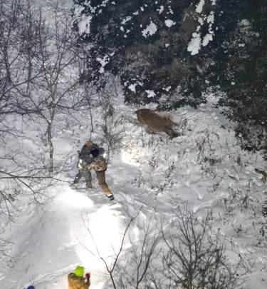 An aerial view of hunters tracking a deer in a snowy forest landscape at night using flashlights.