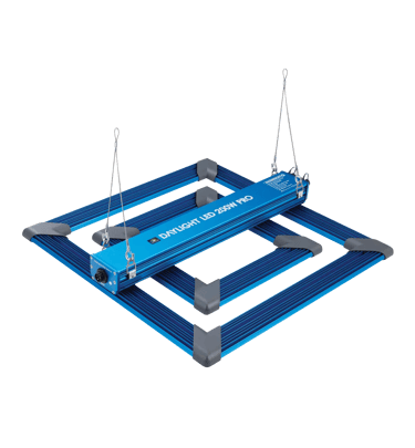 a blue and white table top with a blue and white table top