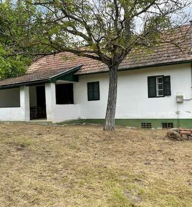 Ferienhaus in Ungarn kaufen