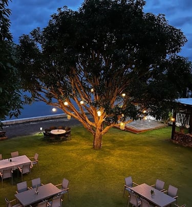 Infinity resort garden
