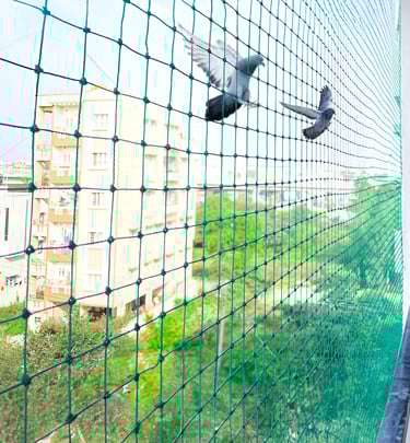 Quality safety Nets in KR Puram