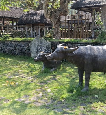 tenganan old village