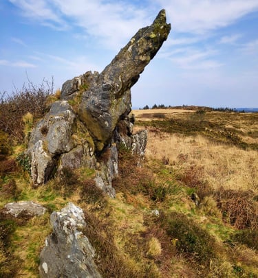 paysage breton