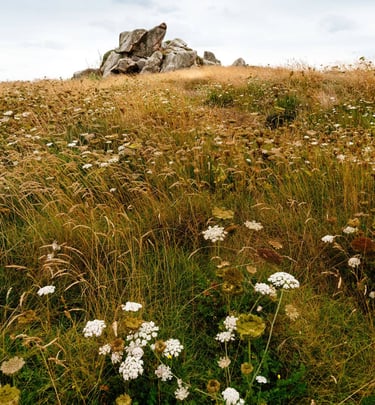 nature maritime bretonne