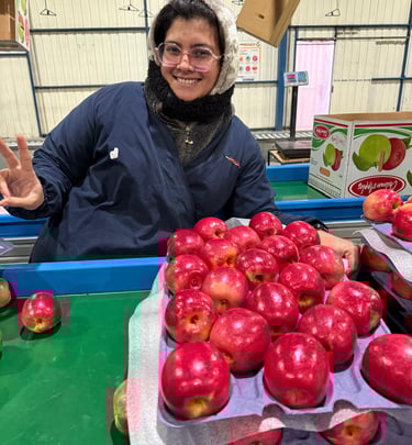 Fresh Apples, Royal Gala, Red Delicious, Granny Smith, Fuji, PinkGlow