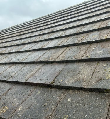 roof tiles that have been professionally cleaned