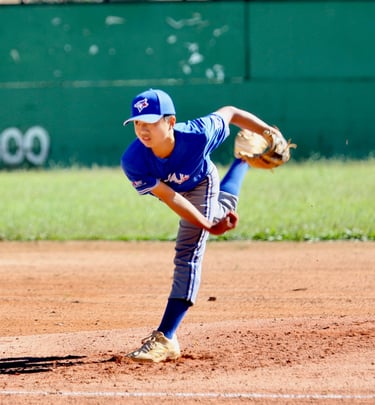 nippon blue jays pitcher