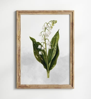 muguet