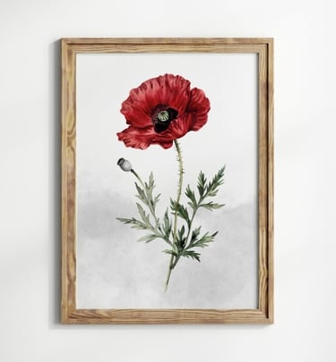 coquelicot