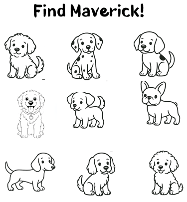 a find what's different activity page