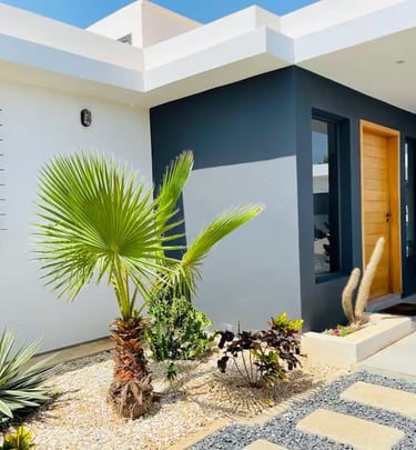 a house with a palm tree in the foreground