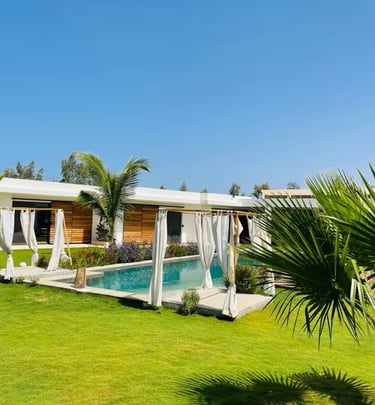 a house with a pool and a palm tree