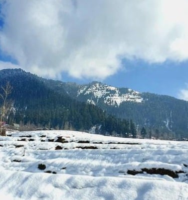 kashmir snow fall