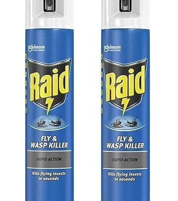 a pair of raid raid raid raid raid raid raid raid raid raid raid raid raid