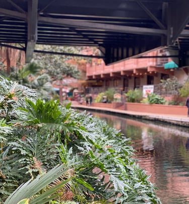 Riverwalk San Antonio