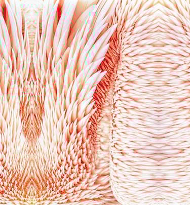 le bog photographie exposition