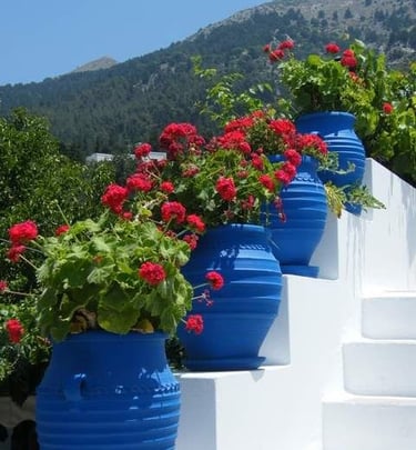 um monte de vasos azuis com flores vermelhas