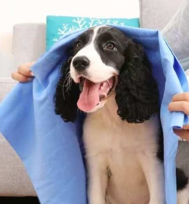 pets towel,doggy towel,cat towel gym towel sports towel