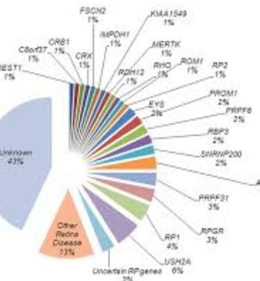 Each patient may carry a variant in one or more of approximately 100 genes