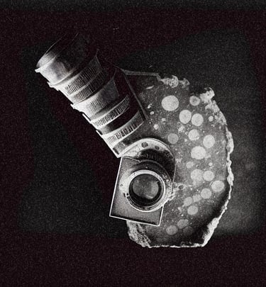 Agne Gintalaite, collecting things, 2023, Fuerteventura