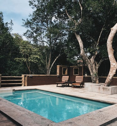a pool with a tree in the background