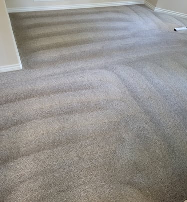 Beautiful Clean Carpet when using King Organic Clean, Organic Carpet Cleaning System