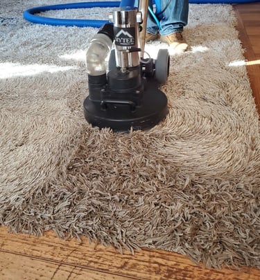 King Organic Clean in the process of organic carpet cleaning, using the Tornado, removing dirt.